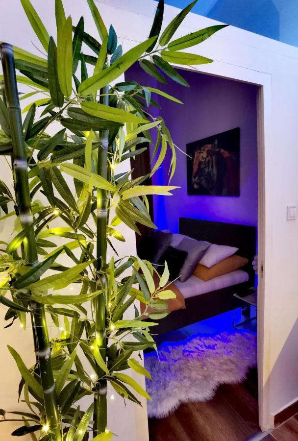 Dolce Vita Supremier Apartment Budapest Luaran gambar